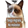 Grumpy Cat Cartel 12