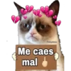 Grumpy Cat Cartel 13