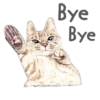 Cats 13