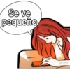 Se ve
pequeño
San Smar