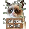 Grumpy Cat Cartel 14