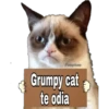 Grumpy Cat Cartel 16