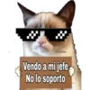 Grumpy Cat Cartel 17