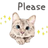 Cats 14