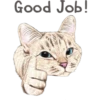 Cats 15