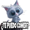 La Vida Secreta de tus Mascotas (Part 1) 23