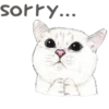 Cats 16