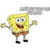 BOB SPONJA 16