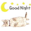 Cats 17