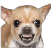 Perros II 19