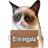 Grumpy Cat Cartel 19