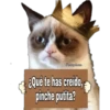 Grumpy Cat Cartel 20