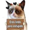 Grumpy Cat Cartel 21