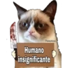 Grumpy Cat Cartel 22