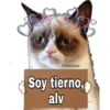 Grumpy Cat Cartel 23