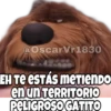 La Vida Secreta de tus Mascotas (Part 1) 27