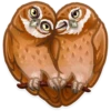 Trending Animals 25