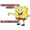 BOB SPONJA 19