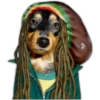 Perros II 22