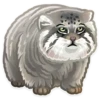 Trending Animals 29