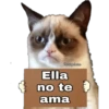 Grumpy Cat Cartel 25