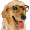 Perros II 30