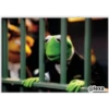 KERMIT la rana 5