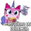 10
REQUIERO DE
EVİDENCIA
