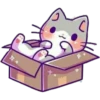 Котенок 6
