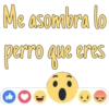 Me asombra lo
perro que eres
DO