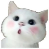 Memes uwu 3 7