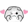 Котенок 11