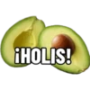 iHOLIS!