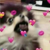 ️️Hearts(2) 15