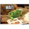 KERMIT la rana 12