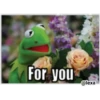 KERMIT la rana 13