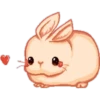BUNNY 6