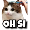 IS HO