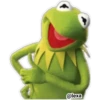 KERMIT la rana 16