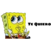 TE QUIERO