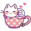 Котенок 13