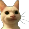 Memes uwu 11 19