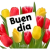Buen
dia
cokki