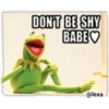 KERMIT la rana 24