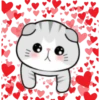 Котенок 21