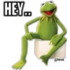 KERMIT la rana 25