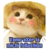 Vamo aSer la
michi follashion