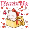 Bienvenido
cokki