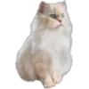 Cute animals DZ 22