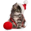 Cute animals DZ 23